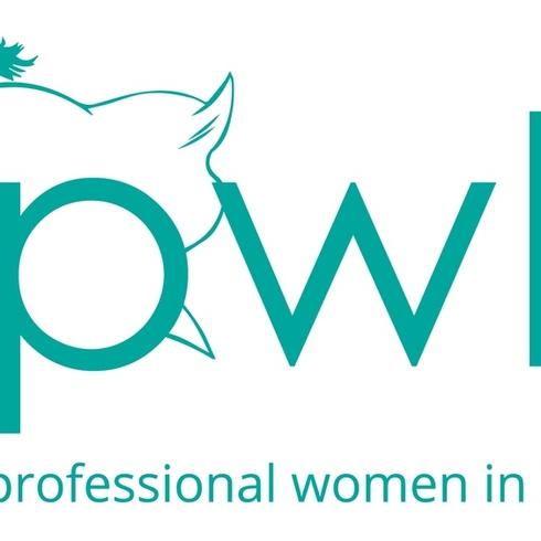 Professional women in Building